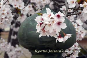 Our Kyoto Blog